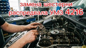 шестерня распредвала замена газель бизнес умз 4216 евро 4