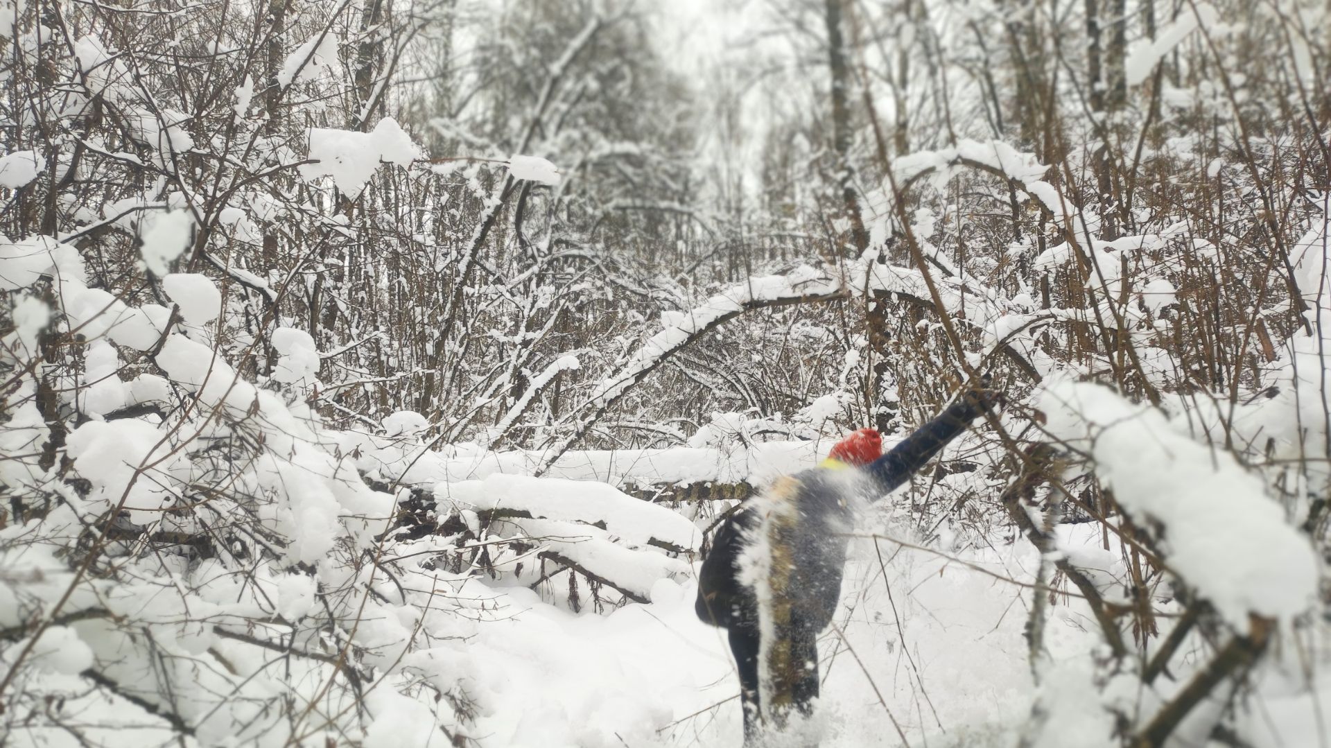 Походный день