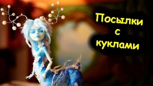 ЭТО НЕ КУКЛЫ! ПОСЫЛКИ от ПОДПИСЧИКОВ   ПАТРОНУС ГАРРИ ПОТТЕРА / МОНСТЕР ХАЙ