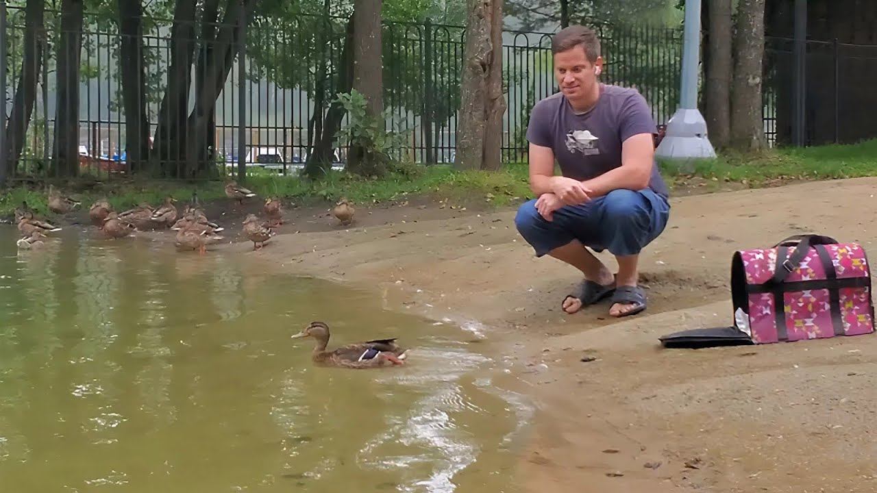 УТОЧКА. ВЫПУСК