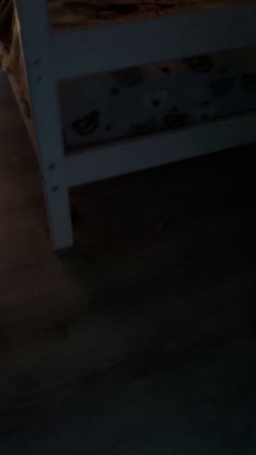 танцуй как кот