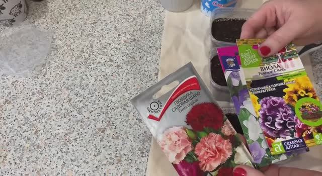 Виола Рококо, Гвоздика садовая Шабо, Колокольчик карпатский. Посев семян 07.01.2026 смотреть онлайн