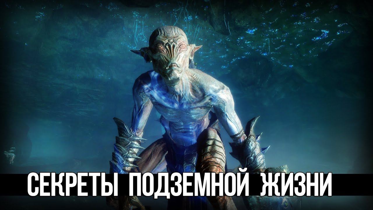 Skyrim Секреты Фалмеров и Другие Тайны Подземной Жизни Скайрима! смотреть онлайн