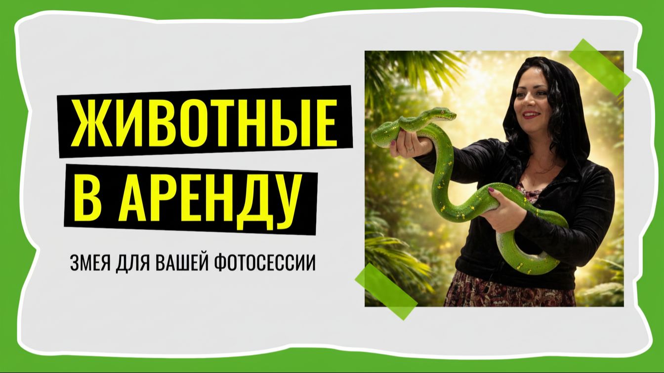 Животные в аренду змея для фотосессий, мероприятий и шоу