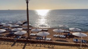 ЕГИПЕТ ШАРМ ДЕКАБРЬ Invidia краткий обзор выводы резюме р