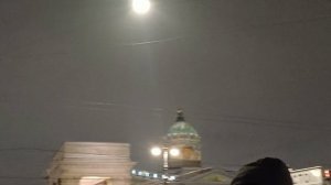 Тропические бабочки в новогоднем Питере. Подсветка 2026