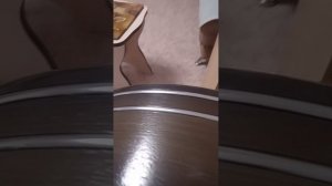 как сделать аниматроника