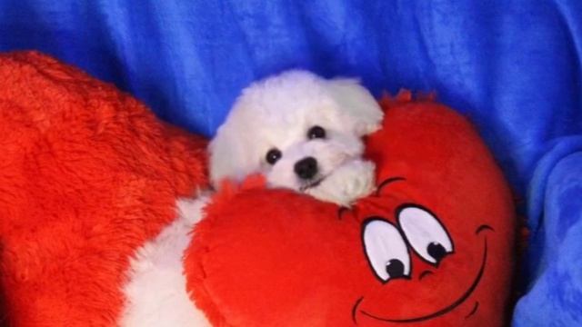 Для друга.mp4 смотреть онлайн