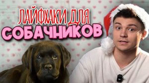 ЛАЙФХАКИ для СОБАЧНИКОВ