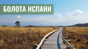 700 гектаров жыжы, где можно утопнуть без лыжы