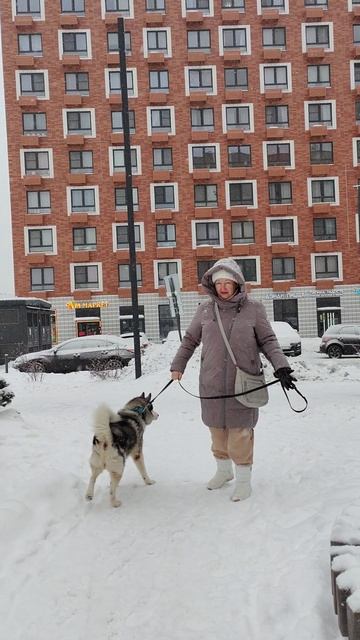 Наслаждаемся прогулкой с Бенечкой смотреть онлайн