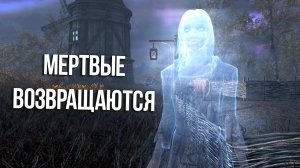 Skyrim Интересные моменты и Секреты игры