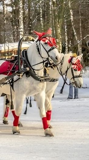 Карета с лошадьми