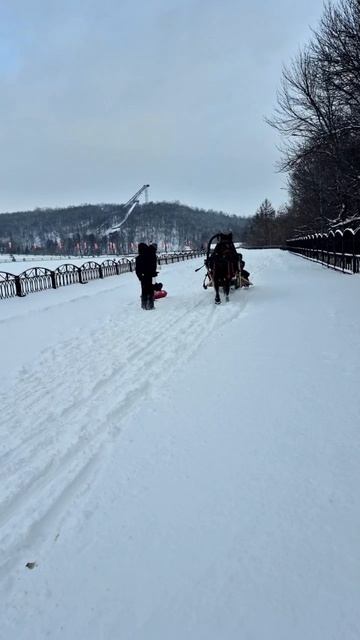 Лошадка Символ года смотреть онлайн