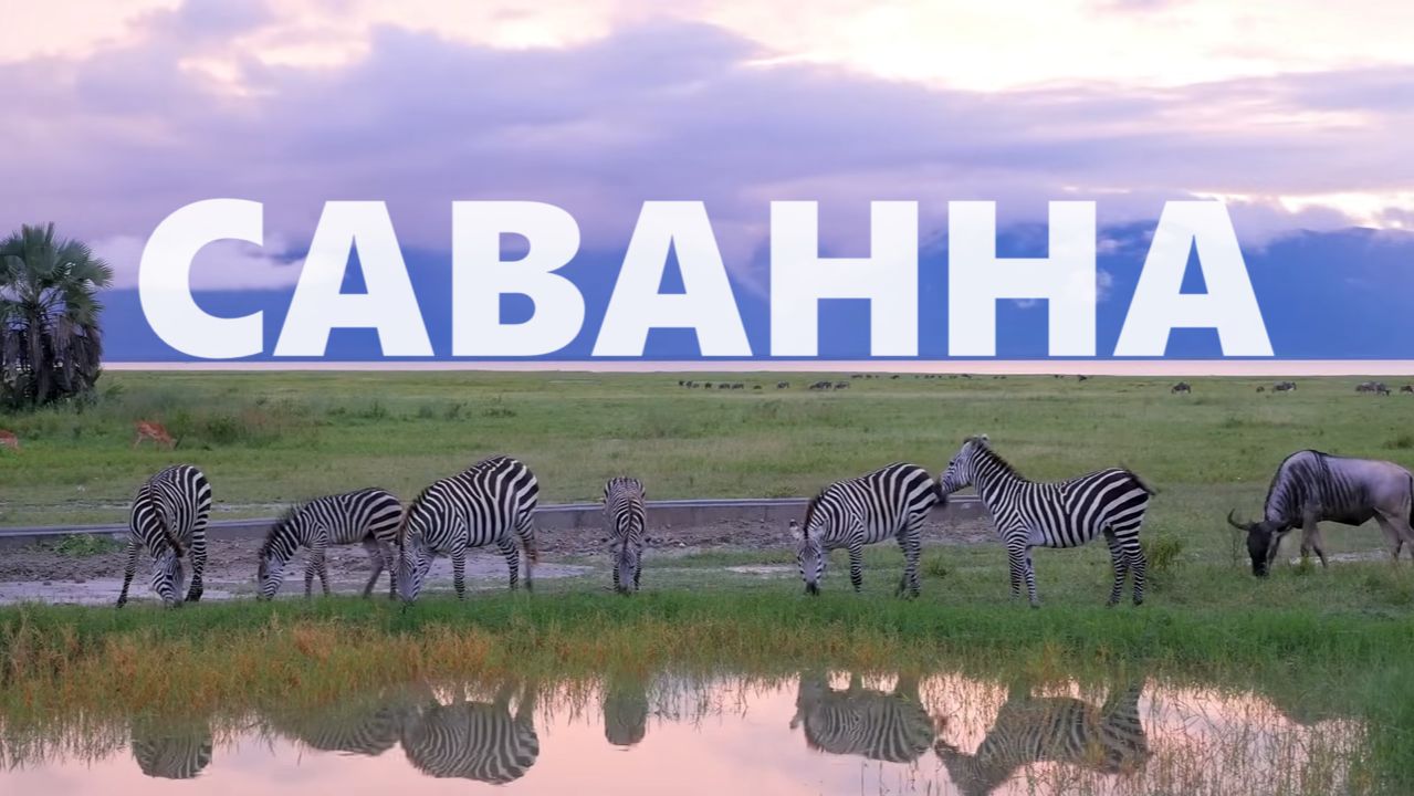 Саванна 4K | Документальный фильм о дикой природе смотреть онлайн