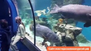 Квест в окнанариуме «Мастерская экскурсий Марс-тур»