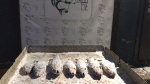 улов форели