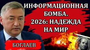 Владимир Боглаев. Информационная бомба. Этот мир сходит с ума. Деградация по заказу.