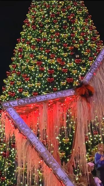 С Рождеством Христовым! Мира, здоровья и радости о рождшемся Богомладенце! смотреть онлайн