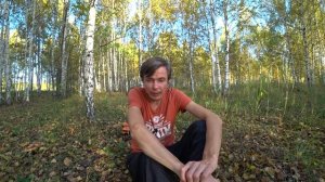 Что будет если съесть мухомор сразу после сушки