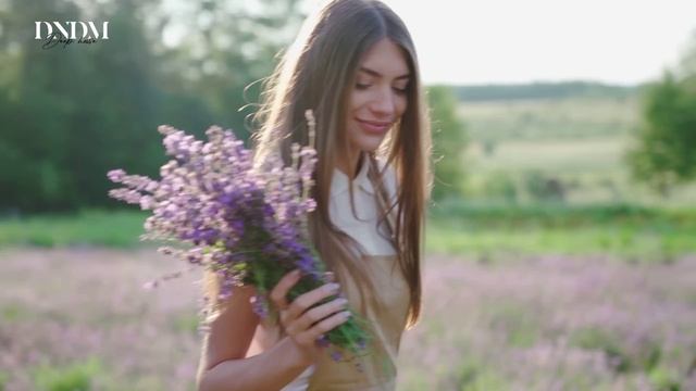 DNDM - [ _Мадам_ ] смотреть онлайн