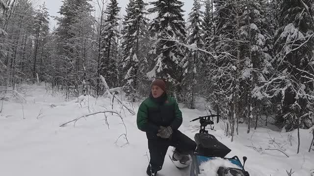 Поездка в лес на мотобуксировщике БТС с лыжным модулем. За новогодней елкой 2 смотреть онлайн