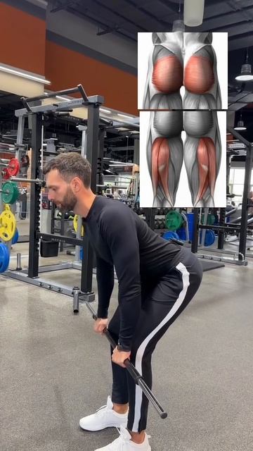 Упражнения общие правила смотреть онлайн