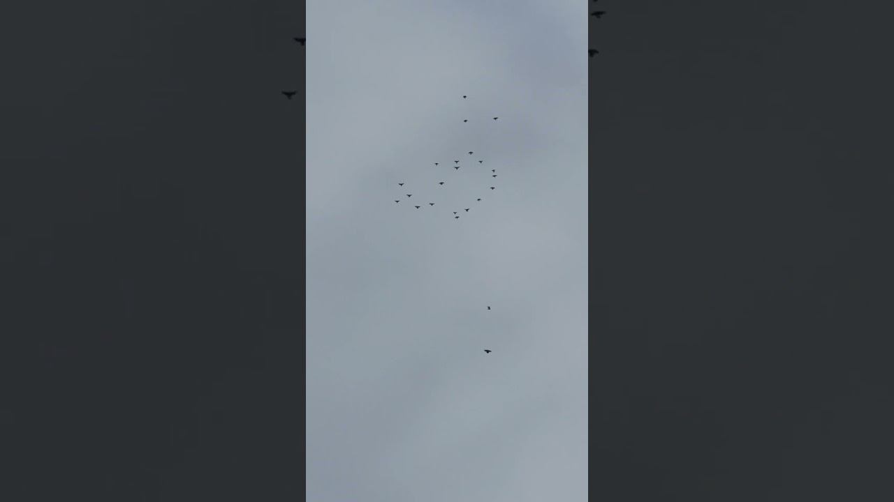 23.12.2025.После обеда...