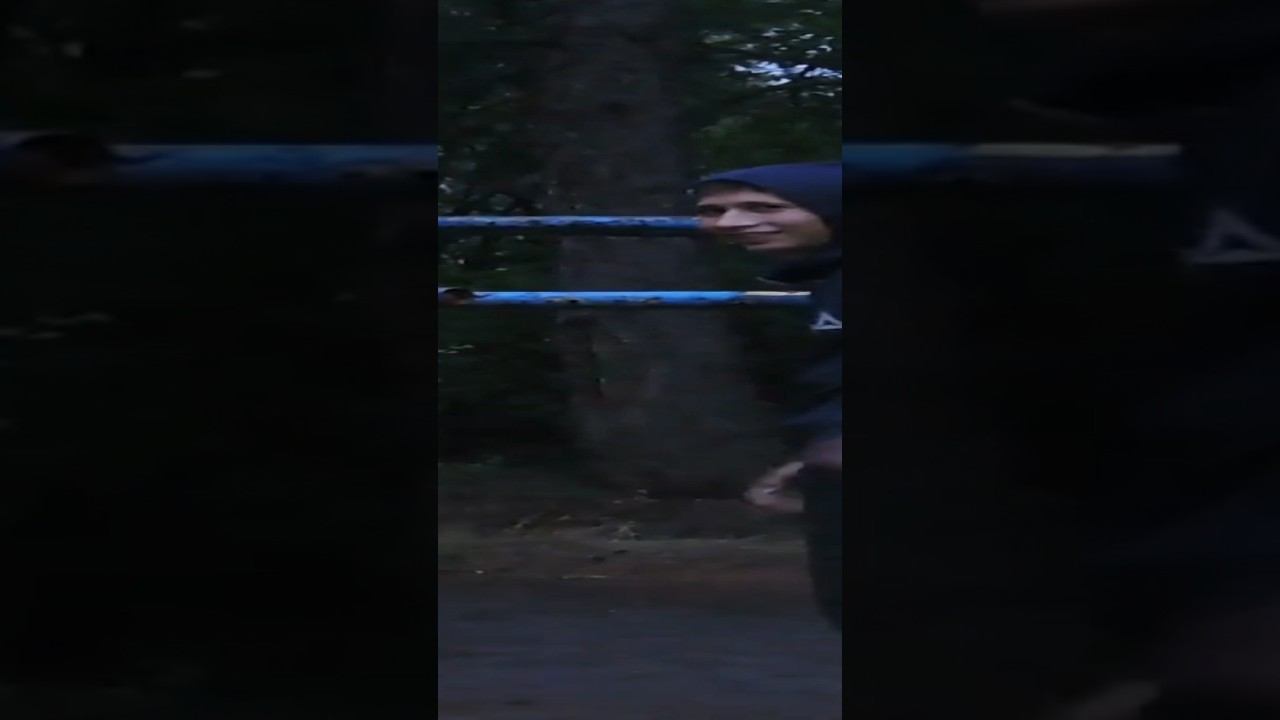 20 parallel bar dips смотреть онлайн