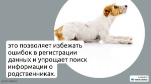 Изучаем происхождение и историю фамилии Атарщиков: значение и склонение для современных