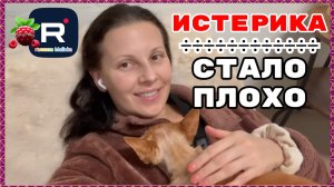 Big Big Family in the USA _Истерика _Стало плохо _Обзор _Биг Биг Фэмэли _Лиса в Америке