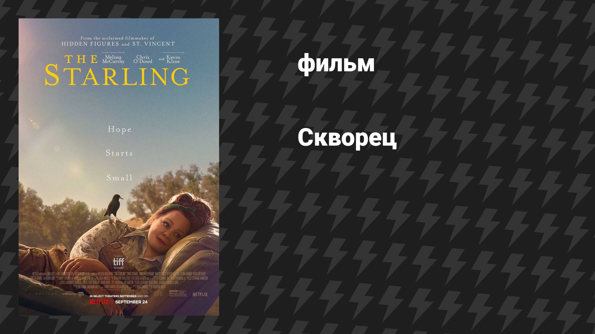 Скворец (фильм, 2021) смотреть онлайн