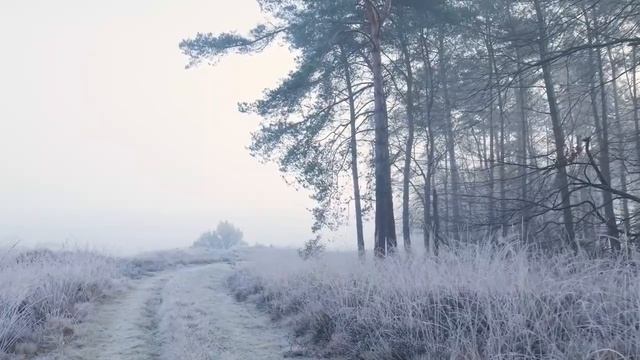 8 января - Точка перелома судьбы. Особый мост к успеху. смотреть онлайн
