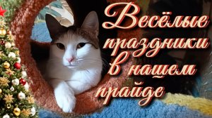 Весëлые праздники в нашем прайде.