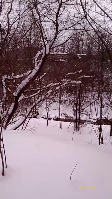 Долина реки Чермянки 06.01.2026