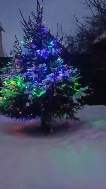 С Рождеством! Всего доброго!