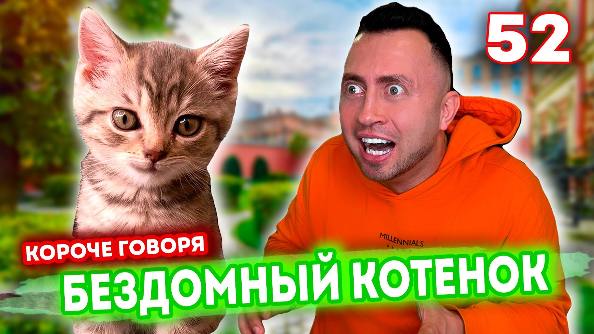 От первого лица: Я БЕЗДОМНЫЙ КОТЕНОК 52 ИСТОРИЯ ОДНОЙ ЖИЗНИ 5 лет спустя смотреть онлайн