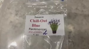 Лаванда Чилаут Блю. Стратификация семян в холодильнике. 2 января 2026