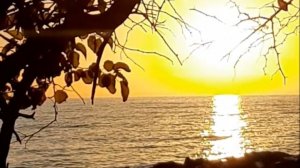 Тото Кутуньо "Индийское Лето" (Toto Cutugno "L'Ete' Indien")🎵🏛 Сочи 3.10.2024☀️🌊🌿🌅