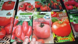 Томаты-Фавориты открытого грунта. Урожайные, сладкие, низкорослые.