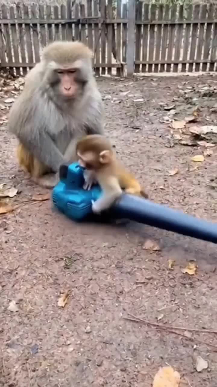 Игрушки не для дeтей 😂😂 смотреть онлайн