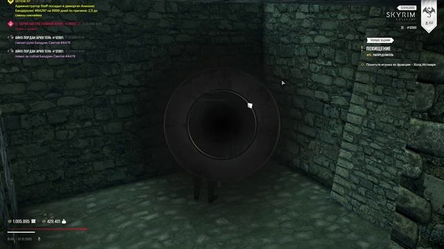 Skyrim Role Play 2026-01-07 18-07-58 смотреть онлайн