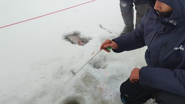 video5400264854609105485 смотреть онлайн