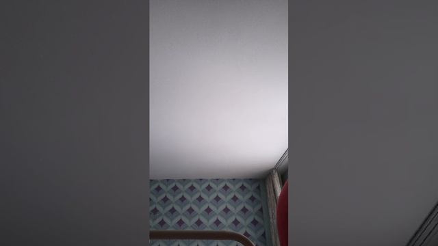 стрим смотреть онлайн