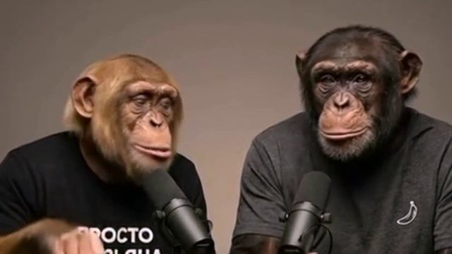 Что думают обезьяны про людей смотреть онлайн