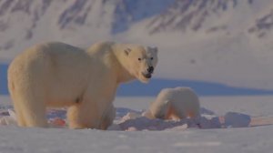 ОЧЕНЬ КРАСИВАЯ И СПОКОЙНАЯ МУЗЫКА ДЛЯ ДУШИ - ЛУЧШАЯ ИНСТРУМЕНТАЛЬНАЯ МУЗЫКА!!! RELAX!!!