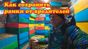 КАК СОХРАНИТЬ ПЧЕЛОВОДНЫЕ РАМКИ ДО СЛЕДУЮЩЕГО СЕЗОНА, ОБЕРЕГАЕМ ОТ ВРЕДИТЕЛЕЙ