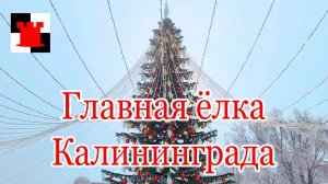 Рождество в Калининграде. Главная ёлка города