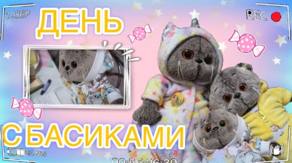ДЕНЬ С КОТАМИ БАСИКАМИ