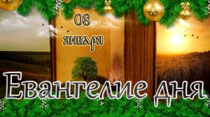 Апостол, Евангелие и Святые дня. Собор Пресвятой Богородицы. (08.01.26)